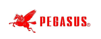 PEGASUS VIETNAM., LTD